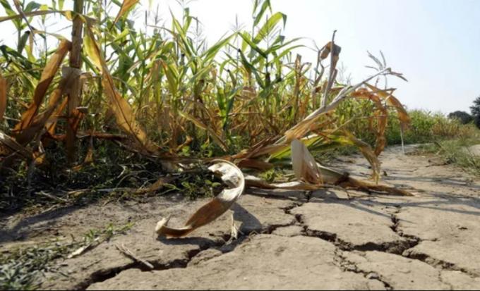 Clima: ¿Se avecina una pandemia que azote a una economía ya caída?