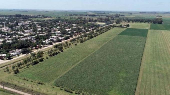 ¿Qué hacer si tu campo quedó dentro de un periurbano donde se prohíben los agroquímicos? En Córdoba, el INTA ensayó una serie de opciones para que siga siendo productivo