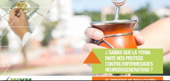 Científicos confirman que tomar mate disminuye el riesgo de contraer Parkinson