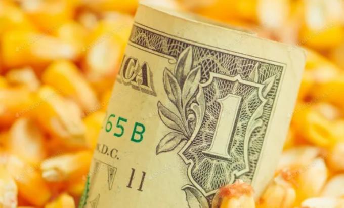 Soja, trigo y maíz: la fortaleza del dólar impactó sobre el mercado de granos