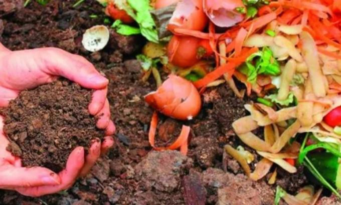 Huerta. Cómo hacer compost en casa