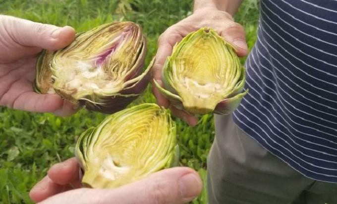 El superalimento que pasó de moda porque las abuelas dejaron de cocinar