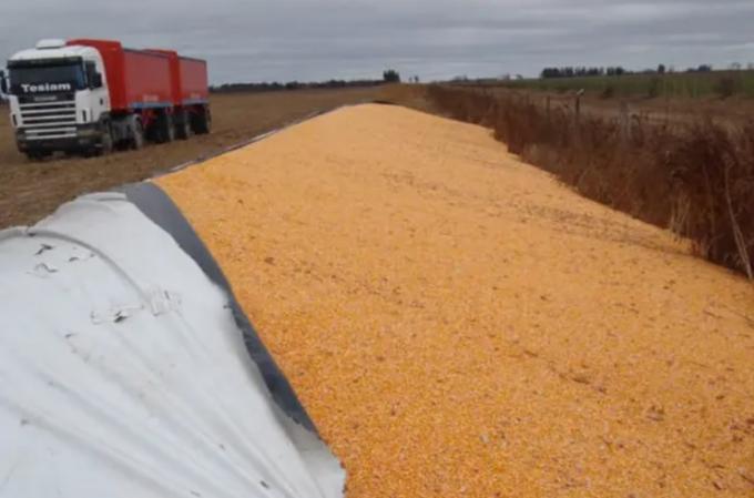 Denuncian roturas de silobolsas, carneadas y asaltos a campos en Navarro