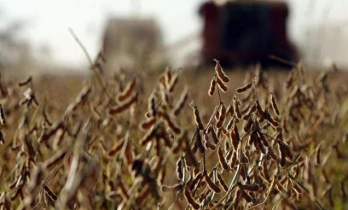 Con la siembra adelantada, Brasil está en marcha hacia una cosecha récord de soja, superior a los 140 millones de toneladas