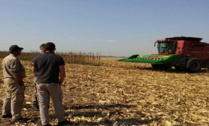 Los dueños del agro. Quiénes están detrás de los 15 mayores grupos de siembra del país