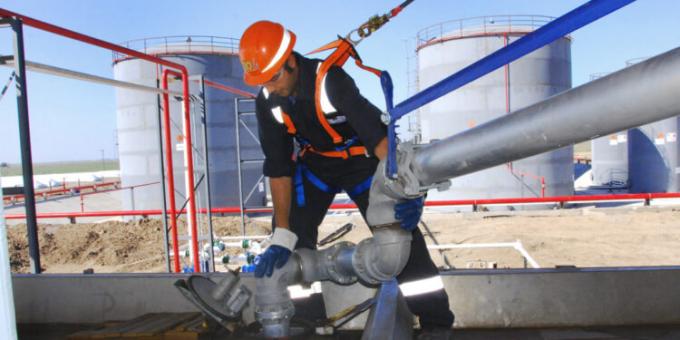 Una firma de bioenergía presentó una plataforma para las empresas que buscan ser carbono neutro