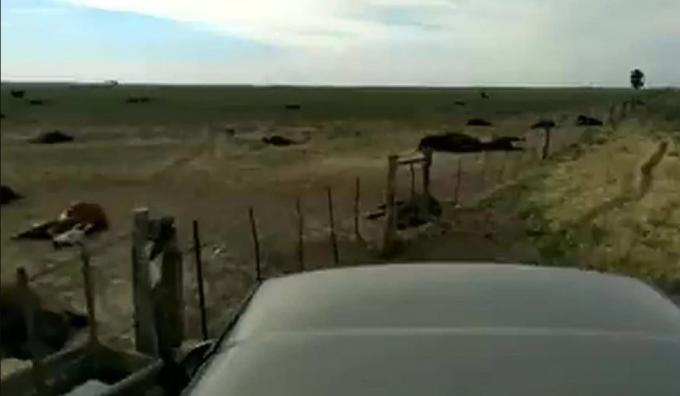 Faltó agua para las vacas y encontró una catástrofe