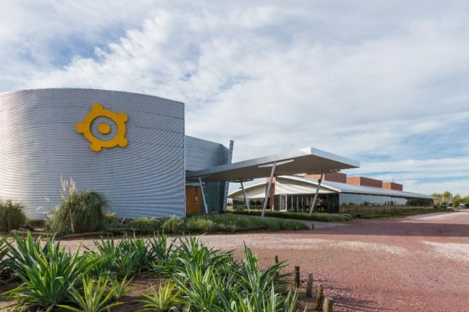 Uno de los mayores grupos de siembra se expandirá a 250.000 hectáreas