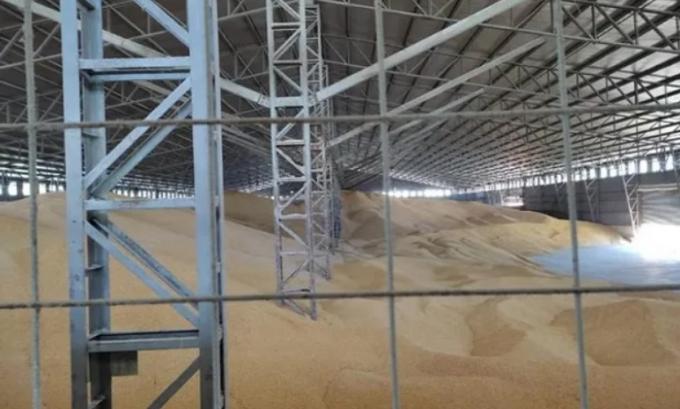 El Gobierno celebra el mayor decomiso de granos de la historia: van a subastar la mercadería