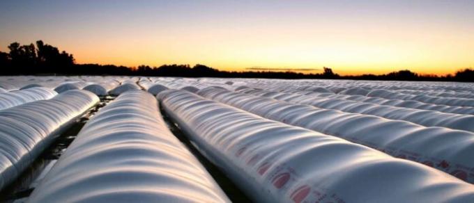 El stock de maíz y soja en manos del productor es el más bajo en 11 años en volumen, y el menor en 6 años en valor