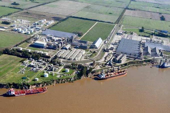 El ingreso de camiones con trigo en noviembre ya es el segundo mayor en la historia
