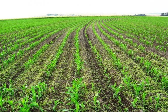 Crece el rechazo en el campo a la campaña con actores contra los agroquímicos