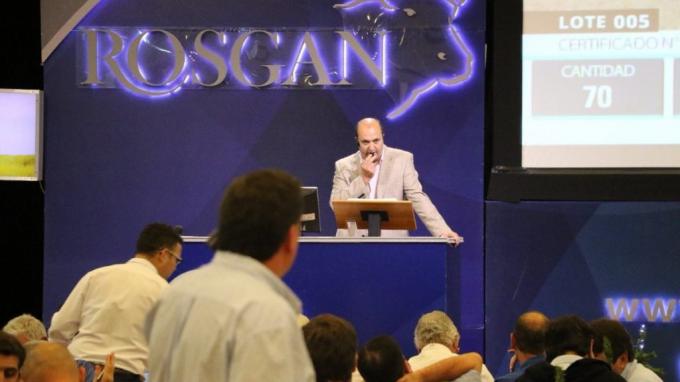 Rosgan cierra el año con una contundente subasta de casi 17 mil cabezas