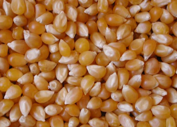 Bajaron retenciones a productos del campo: así quedaron