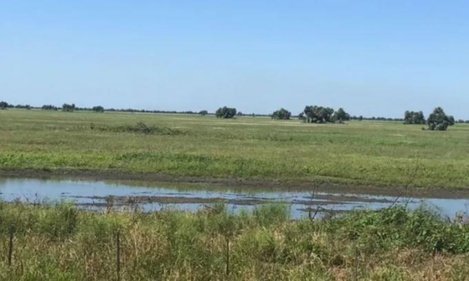 Santa Fe impulsa la creación de una reserva hídrica en los Bajos Submeridionales
