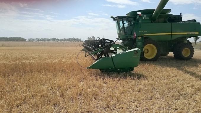Volúmenes de equilibrio: Agricultura deja abierta la puerta para una revisión en trigo
