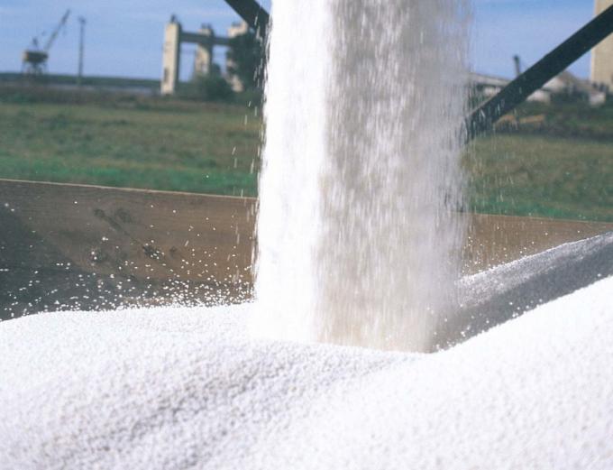 Con el precio de la urea a US$ 1.080 la tonelada, cómo dan los márgenes del trigo 2022/23