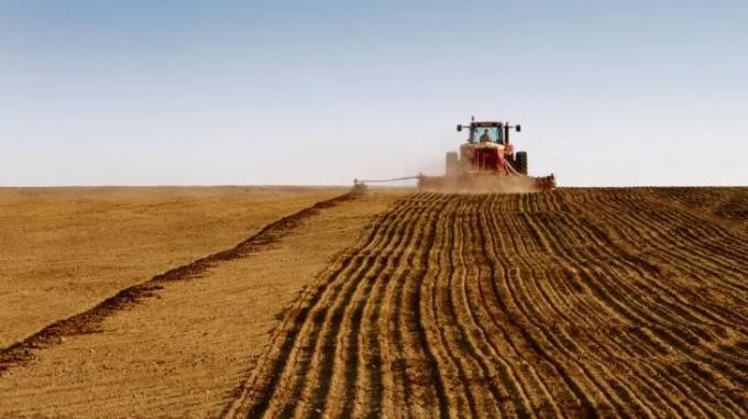 Aporte solidario: rechazan planteo de empresaria agropecuaria