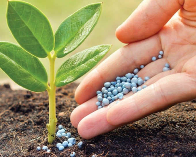 El campo sigue apostando a los fertilizantes