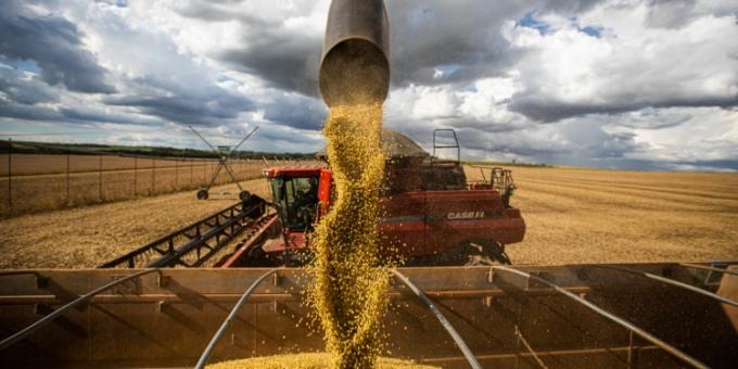 Brasil exportó un volumen récord de soja en 2021, y las tres cuartas partes fueron para China
