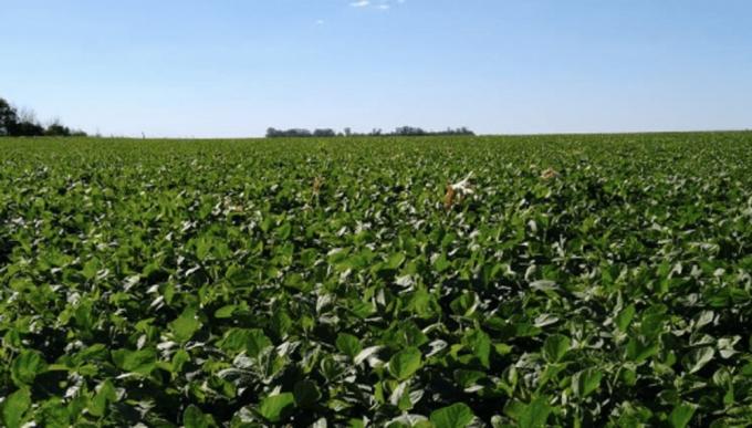 La Niña seguirá presente por lo menos hasta marzo
