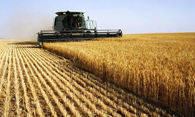 Finalizó la cosecha de trigo y fue récord a pesar de La Niña