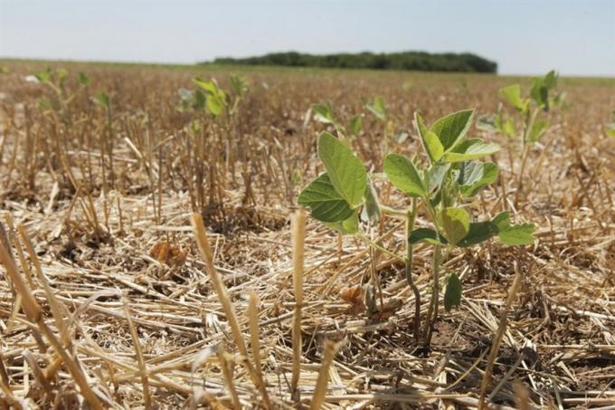 CRA pide que se declare la emergencia agropecuaria ante el impacto de la sequía