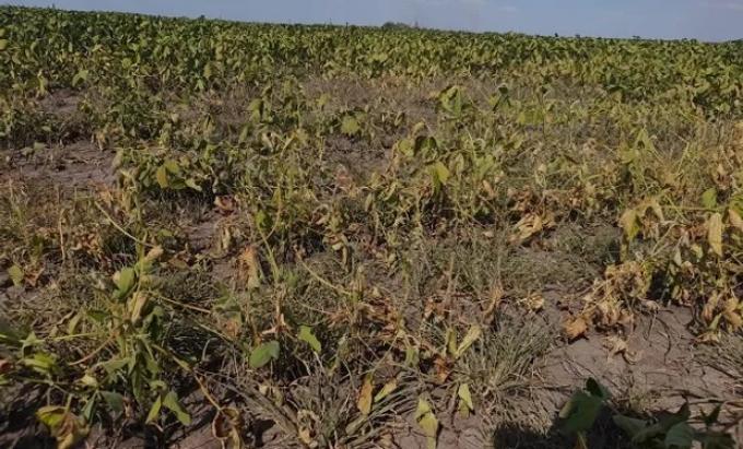 La sequía hará perder exportaciones por unos US$2600 millones