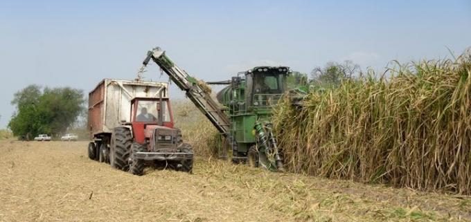 Por la sequía será una de las peores zafras azucareras