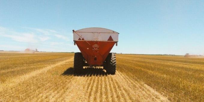 Desacople: El registro de exportación de trigo argentino vuelve a estar virtualmente cerrado
