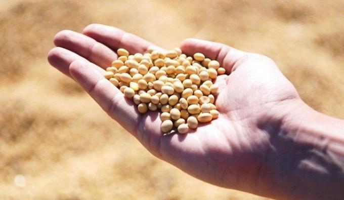 Factores alcistas para todos y todas: La oficina local del USDA recortó fuerte la proyección de cosecha de soja de Brasil