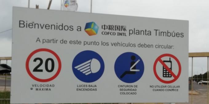 La nueva normativa de distribución de cupos de exportación de cereales terminó beneficiando a una compañía controlada por el gobierno chino