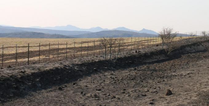 Córdoba entregó $5 millones a pequeños productores afectados por incendios