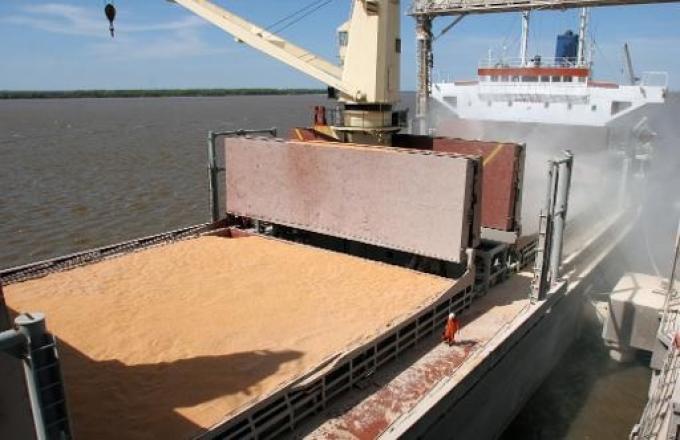 Consecuencia de la caída productiva por la sequía, se aceleró la comercialización del maíz
