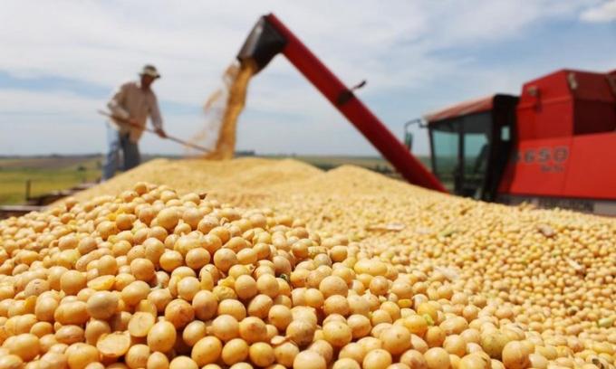 Las fuerzas políticas argentinas, sin importar el color, han demonizado a la soja como un monocultivo