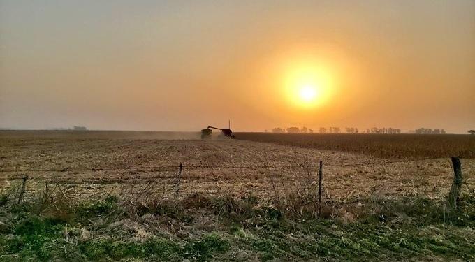 Si Argentina fuera un país normal estaría “nadando” en divisas: En 2021 el agro generó un récord absoluto de 35.000 M/u$s