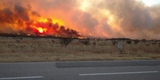 Declaran la emergencia agropecuaria para Córdoba, Mendoza y Misiones