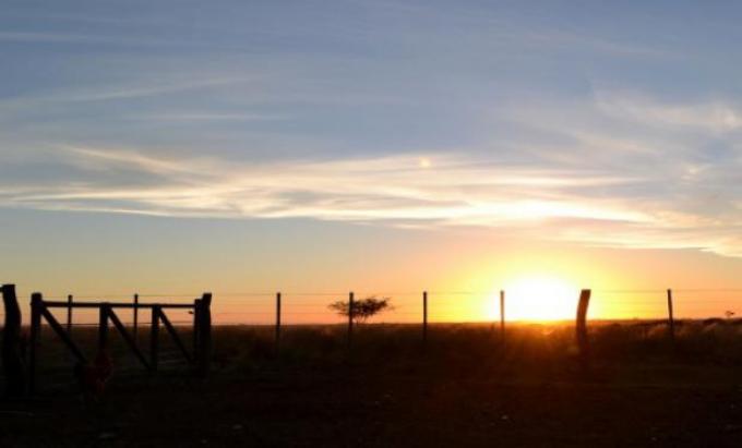 Destacan que el futuro del negocio agropecuario estará marcado por los nuevos consumos y el agregado de valor