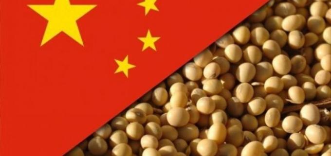 China demandaría 30 mill/tn menos de soja