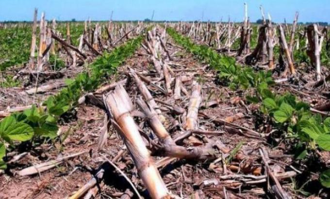 Expoagro 2022: Aapresid insiste con la necesidad de “producir sin labrar el suelo”