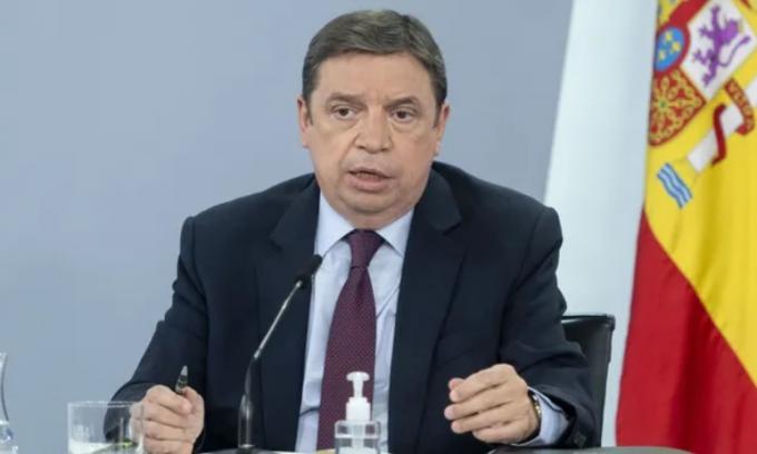 Guerra Rusia-Ucrania: pedido urgente de España para comprar maíz de Argentina