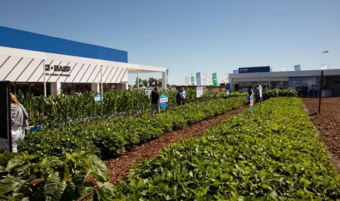 Expoagro: fuerte apuesta por las novedades en semillas y fitosanitarios