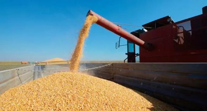 Advierten un posible recorte en la producción de granos de la actual campaña