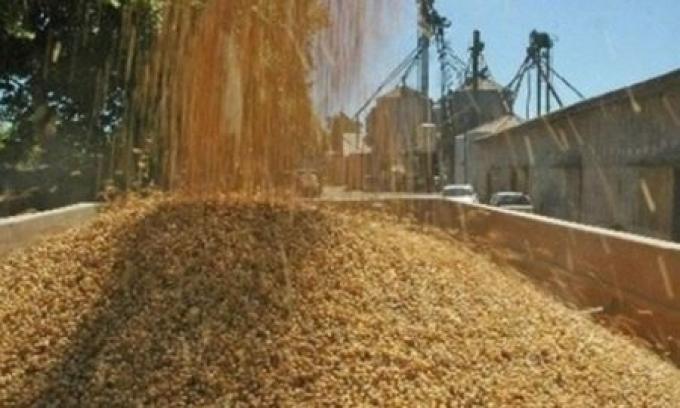 Amparo contra las retenciones: La Rural pidió a los productores que hagan firmar una “reserva de derechos” al entregar sus granos