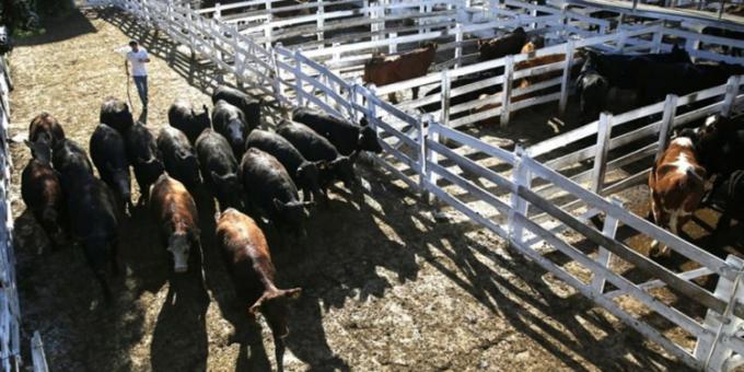 La legislatura porteña prorrogará el traslado del Mercado de Liniers a Cañuelas