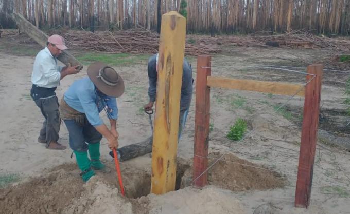 Volvió el verde a Corrientes, pero queda un balance con pérdidas catastróficas