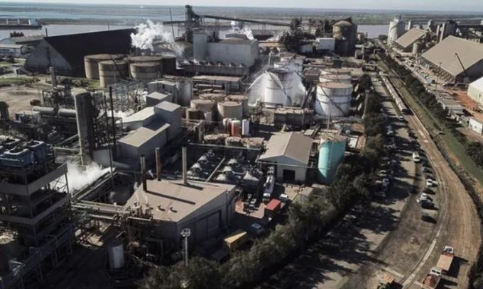 Vicentin: el juez le dio más plazo a la cerealera y habilitó un cronograma para un eventual salvataje