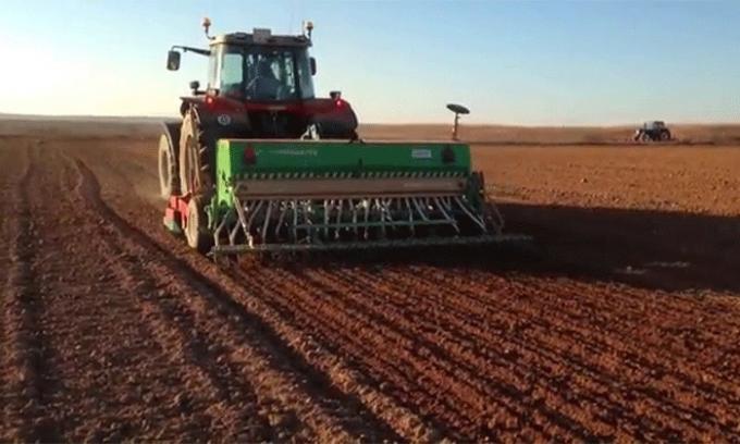 ¿Sembrar o no sembrar? Cómo dan los números para la campaña de trigo