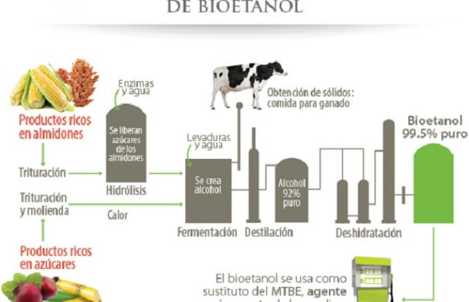 No todo está perdido. Unos seis meses le tomó al gobierno nacional entender que el bioetanol de maíz se produce a partir de una materia prima llamada maíz.