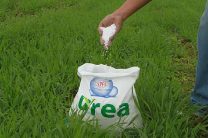 Agricultura asegura que no hay faltante de fertilizantes